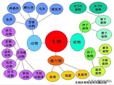 界門綱目科屬種查詢|生物分類學:概念,歷史,基本內容,具體分類,林奈氏分類。